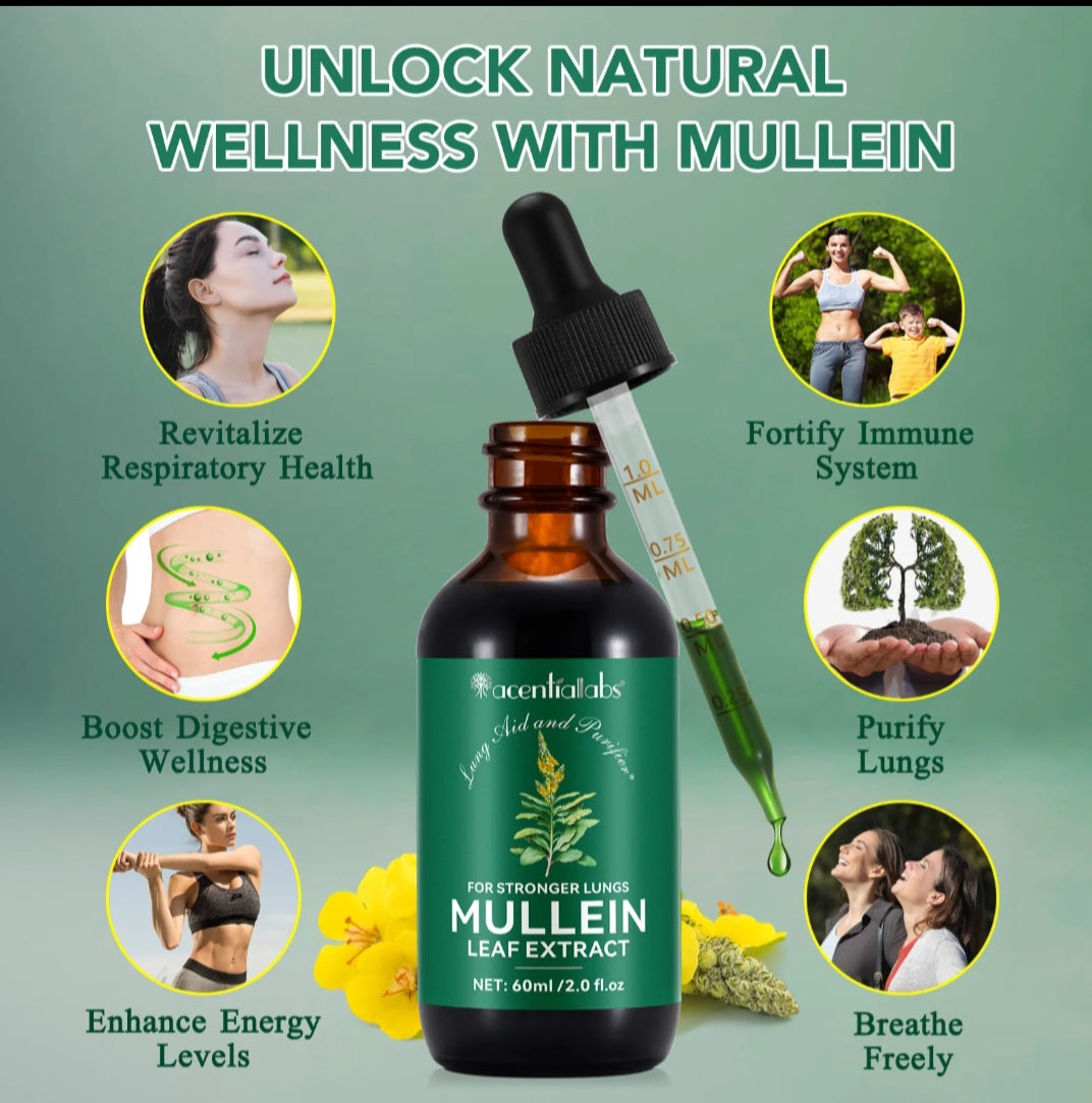 MULLEIN LEAF EXTRACT