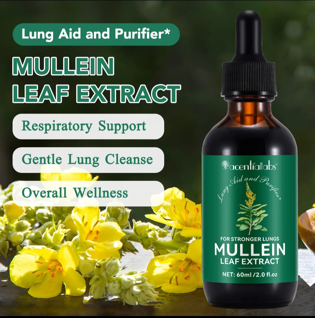MULLEIN LEAF EXTRACT